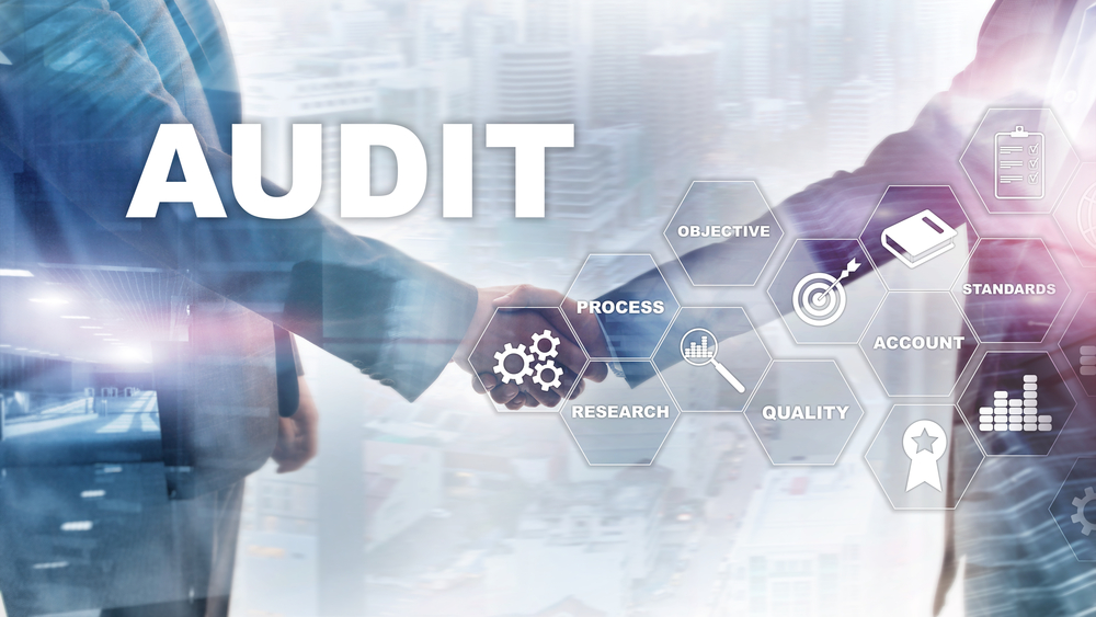 audit sections